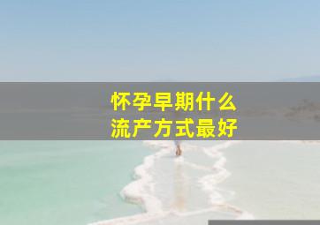 怀孕早期什么流产方式最好