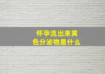 怀孕流出来黄色分泌物是什么