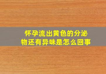 怀孕流出黄色的分泌物还有异味是怎么回事