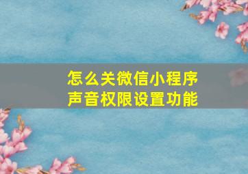 怎么关微信小程序声音权限设置功能