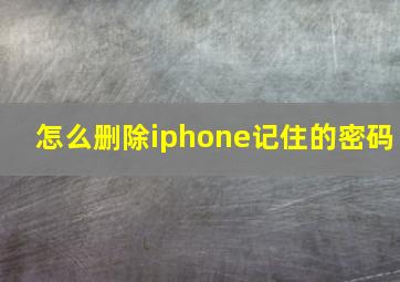 怎么删除iphone记住的密码