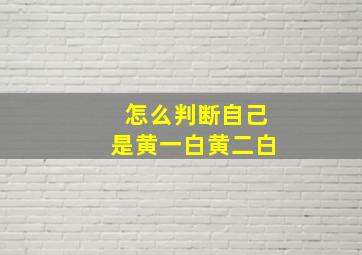 怎么判断自己是黄一白黄二白