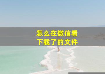 怎么在微信看下载了的文件