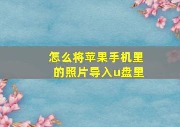 怎么将苹果手机里的照片导入u盘里