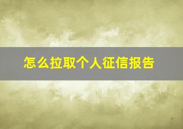 怎么拉取个人征信报告