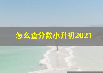 怎么查分数小升初2021