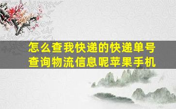 怎么查我快递的快递单号查询物流信息呢苹果手机