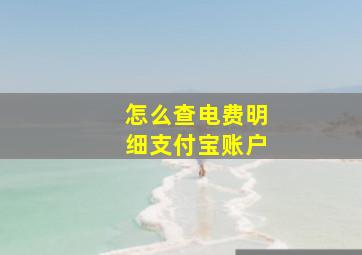 怎么查电费明细支付宝账户