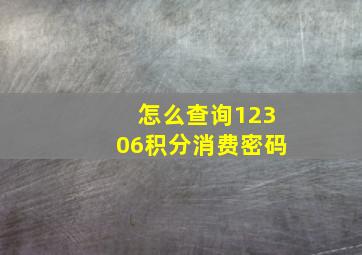 怎么查询12306积分消费密码