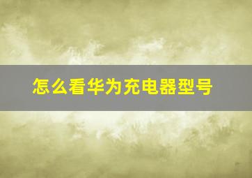 怎么看华为充电器型号