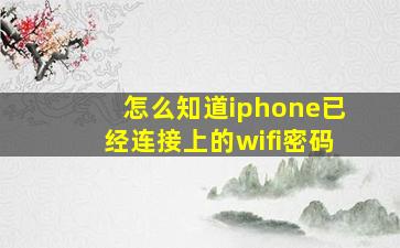 怎么知道iphone已经连接上的wifi密码