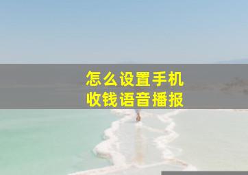 怎么设置手机收钱语音播报