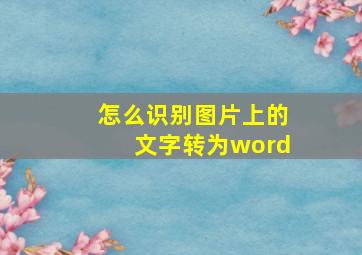 怎么识别图片上的文字转为word