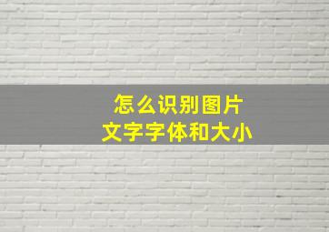 怎么识别图片文字字体和大小