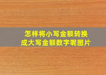 怎样将小写金额转换成大写金额数字呢图片