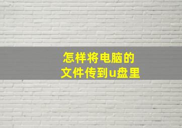 怎样将电脑的文件传到u盘里