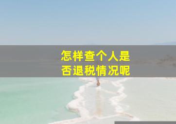 怎样查个人是否退税情况呢