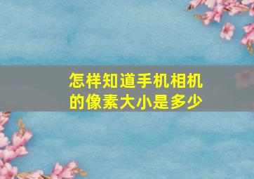 怎样知道手机相机的像素大小是多少