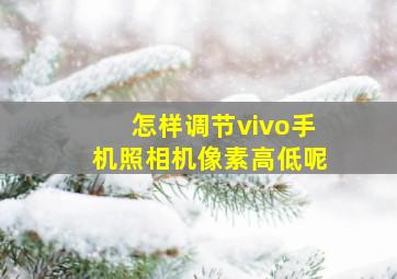 怎样调节vivo手机照相机像素高低呢