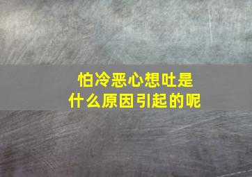 怕冷恶心想吐是什么原因引起的呢