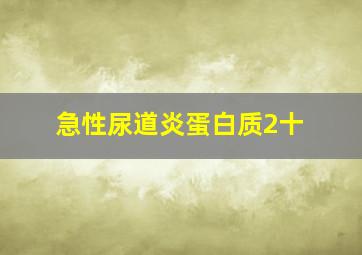 急性尿道炎蛋白质2十