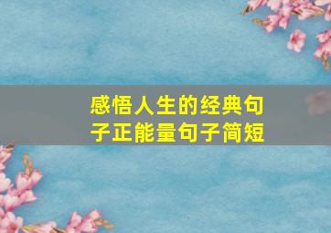 感悟人生的经典句子正能量句子简短