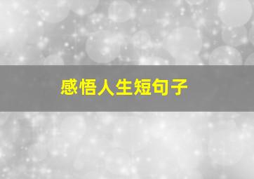 感悟人生短句子