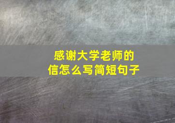 感谢大学老师的信怎么写简短句子