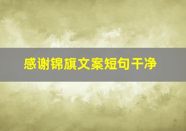 感谢锦旗文案短句干净