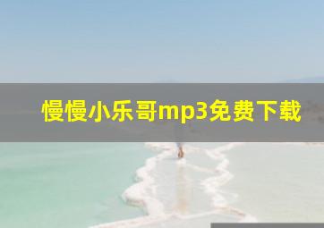 慢慢小乐哥mp3免费下载