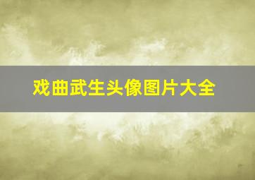 戏曲武生头像图片大全