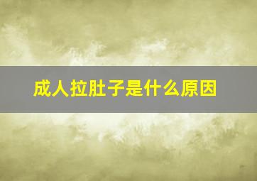 成人拉肚子是什么原因