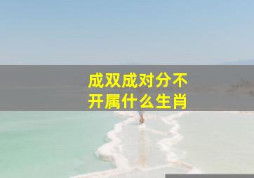 成双成对分不开属什么生肖