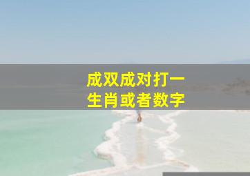 成双成对打一生肖或者数字