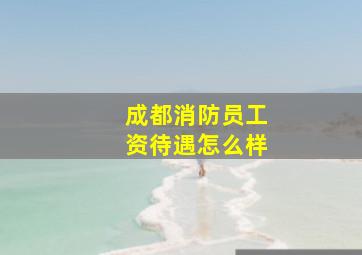 成都消防员工资待遇怎么样