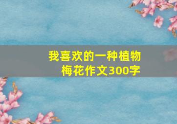 我喜欢的一种植物梅花作文300字