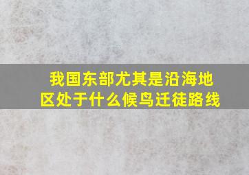 我国东部尤其是沿海地区处于什么候鸟迁徒路线