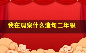 我在观察什么造句二年级