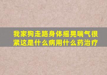 我家狗走路身体摇晃喘气很紧这是什么病用什么药治疗