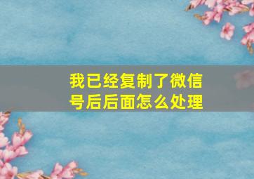 我已经复制了微信号后后面怎么处理