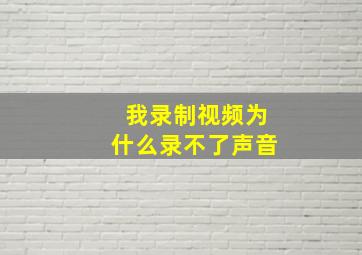 我录制视频为什么录不了声音