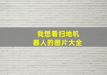 我想看扫地机器人的图片大全