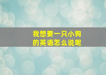 我想要一只小狗的英语怎么说呢