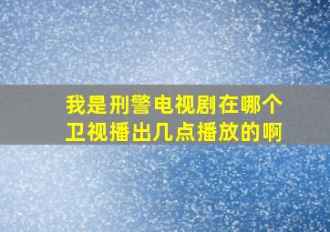 我是刑警电视剧在哪个卫视播出几点播放的啊