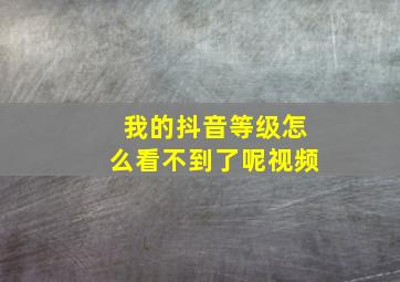 我的抖音等级怎么看不到了呢视频