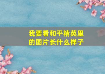 我要看和平精英里的图片长什么样子