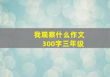 我观察什么作文300字三年级