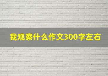 我观察什么作文300字左右