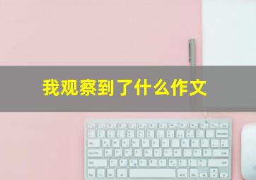 我观察到了什么作文