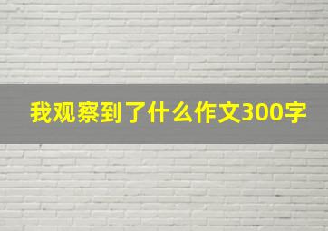 我观察到了什么作文300字